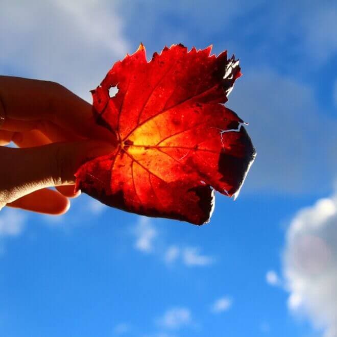 Mental Health: Selbstfürsorge für Eltern und der Umgang mit Erschöpfung