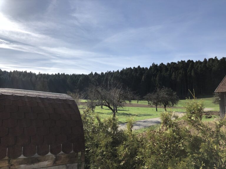 Wo sich Hase, Igel und s`Dierle Gute Nacht sagen