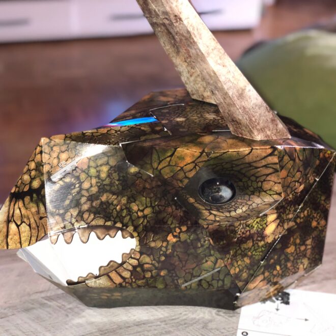 Wild Cards Masken von Simba im Test