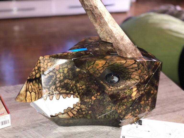 Wild Cards Masken von Simba im Test